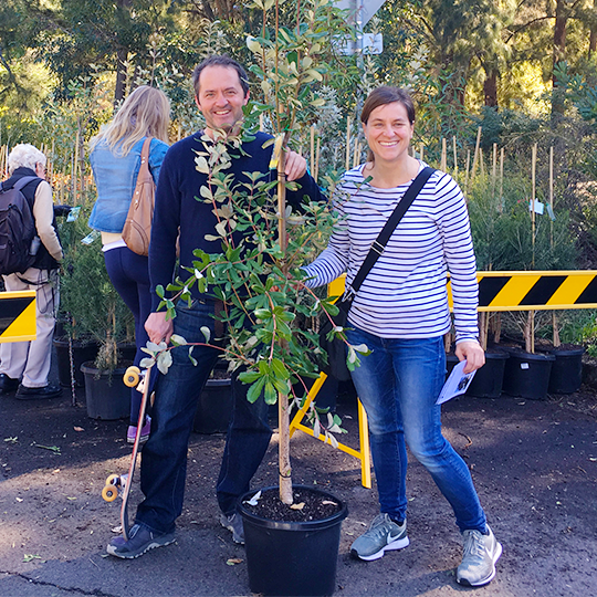 Tree Giveaway 2018